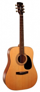 W81-OP Акустическая гитара с чехлом, Parkwood