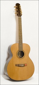 J997 Акустическая гитара 9-струнная джамбо, Strunal