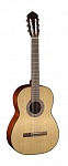 PC90 Классическая гитара 4/4 с чехлом, Parkwood