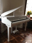 Grand-120-WHITE Цифровой рояль, с автоаккомпанементом, белый, Orla