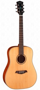 S21-GT Акустическая гитара, дредноут, с чехлом, глянец, Parkwood