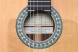 8.213 Flamenco Conservatory 5Fp OP Pinana Классическая гитара, Alhambra