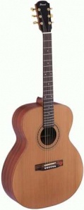 J773 Акустическая гитара джамбо, Strunal