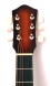 H-54 Акустическая гитара, Амистар
