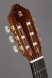 7.628 Premier Pro Exotico Классическая гитара, Alhambra
