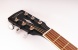 PF51-BKS Акустическая гитара, Parkwood
