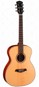 S22-NS Акустическая гитара, с чехлом, Parkwood