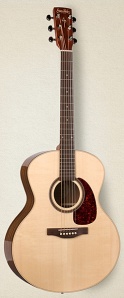 033737 Woodland Pro MiniJumbo Spruce HG Акустическая гитара, Simon & Patrick