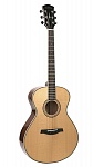 P630-WCASE-NAT Акустическая гитара, цвет натуральный, с футляром, Parkwood