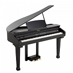 438PIA0621 Grand 110 Black Цифровой рояль, черный, Orla