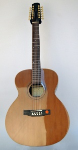 J980 Акустическая гитара джамбо 12 струнная Strunal