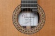 7.628 Premier Pro Exotico Классическая гитара, Alhambra