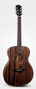 S22M-NS Акустическая гитара, с чехлом, матовая, Parkwood
