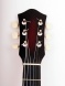 H-613 Акустическая гитара, днедноут, художественная отделка, Амистар