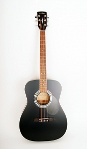 PF51-WBAG-BKS Акустическая гитара с чехлом, Parkwood