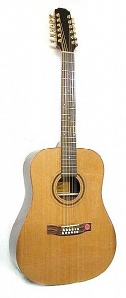 D880 Гитара акустическая 12-струнная, дредноут, Strunal