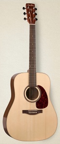 033676 Woodland Pro Spruce SG Акустическая гитара, Simon & Patrick