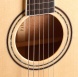 P820 Акустическая гитара, с футляром, Parkwood