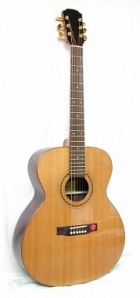 J873 Акустическая гитара джамбо Strunal