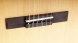 PC75 Классическая гитара 3/4, Parkwood