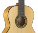 8.224 Классическая гитара, с футляром, Alhambra